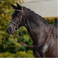 Bridle Rembourré Cavesson